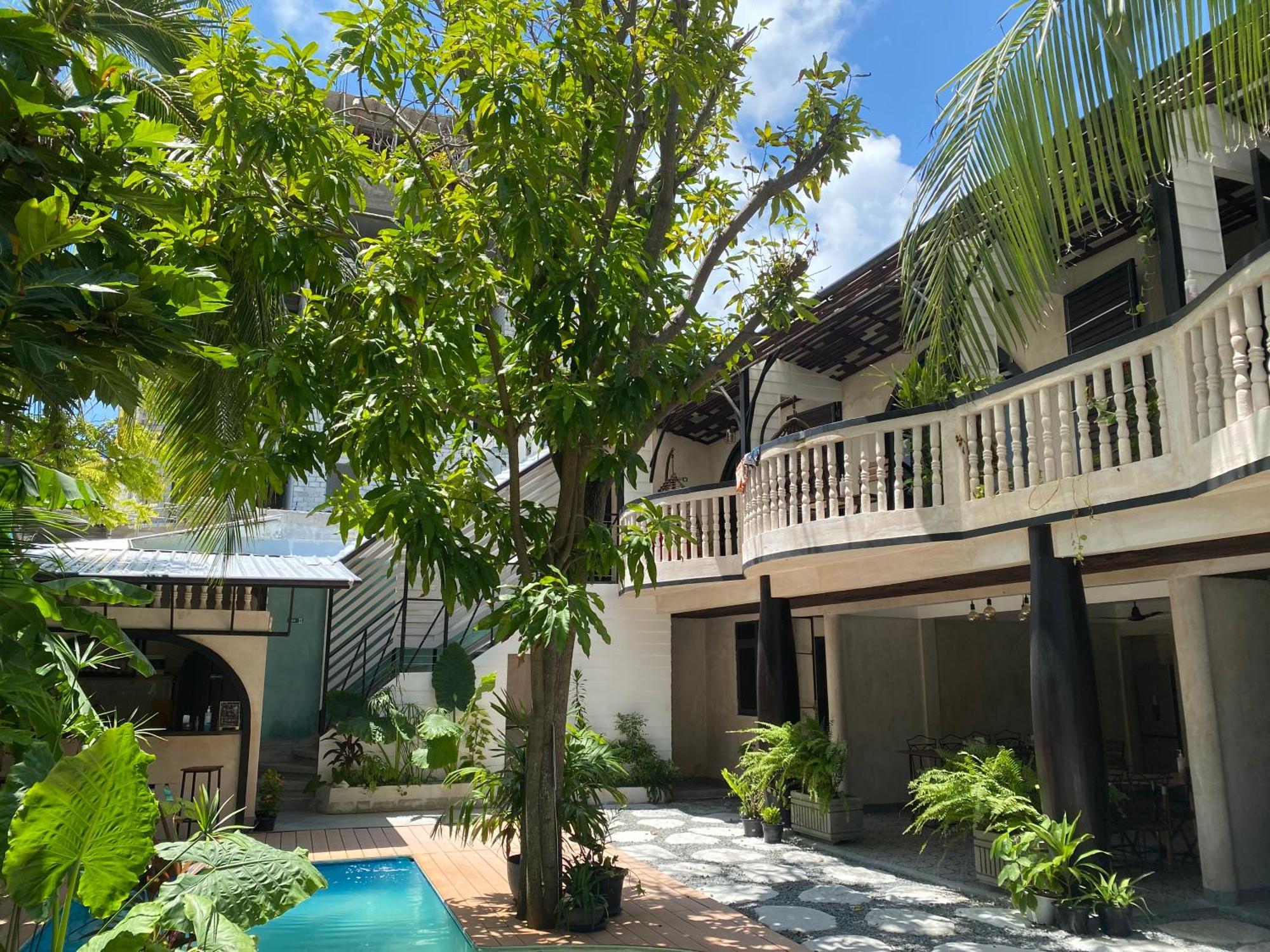 Zinnia Maafushi - Inclusive Airport Roundtrip - Snorkeling - Picnic - Sandbank For 2 Adults With Min 4-Nights Stay - Applicable For Bookings Made From 1St June 2025 Stay Period Till 31St Oct 2025 Eksteriør bilde